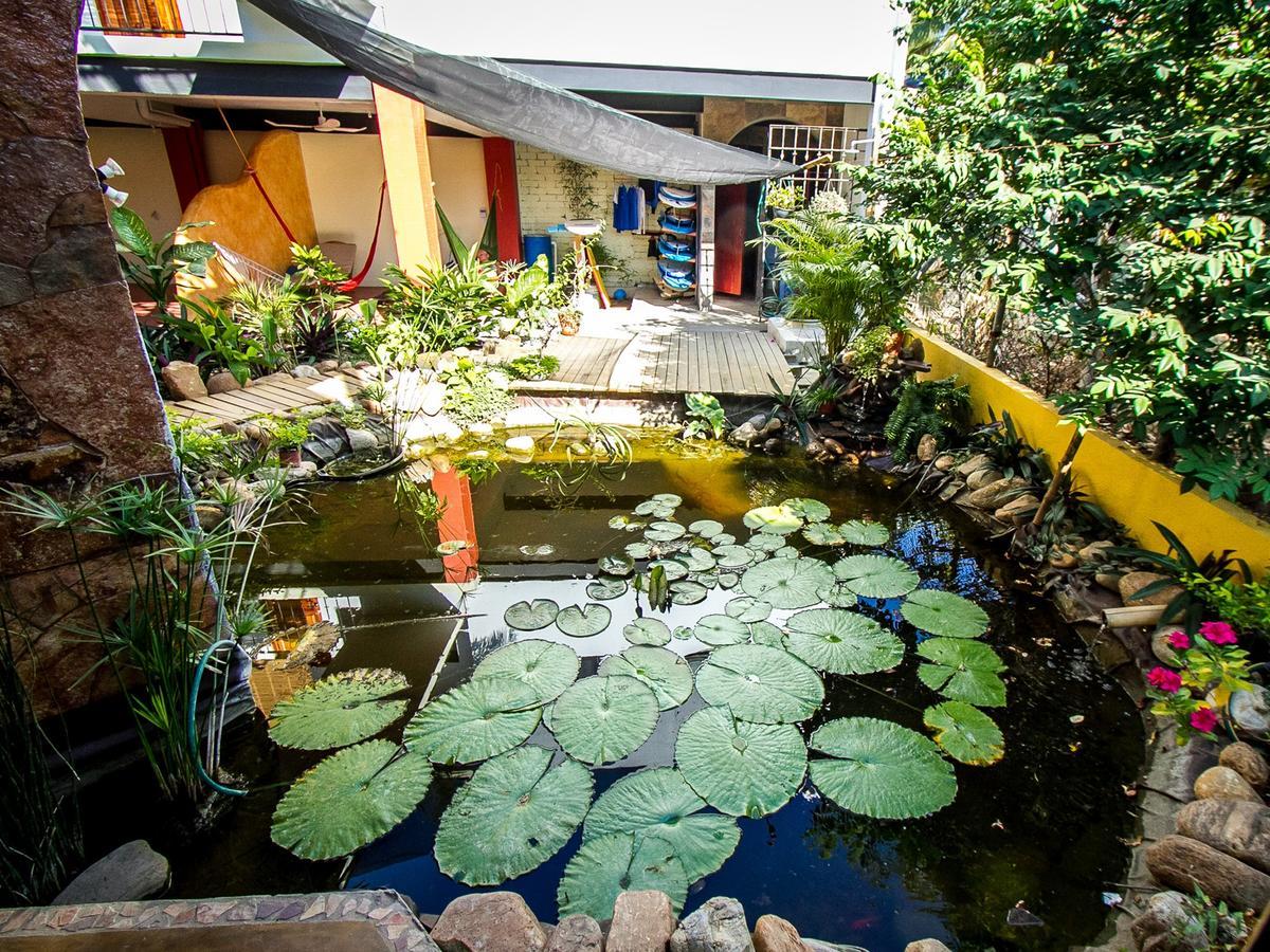 Brisas de Zicatela Experiencia Surf Campホステル エクステリア 写真