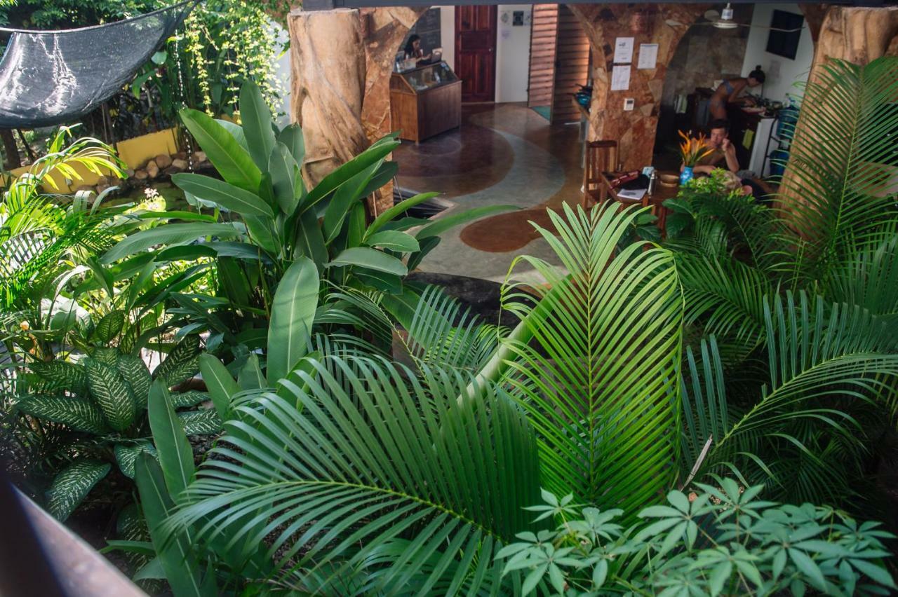 Brisas de Zicatela Experiencia Surf Campホステル エクステリア 写真